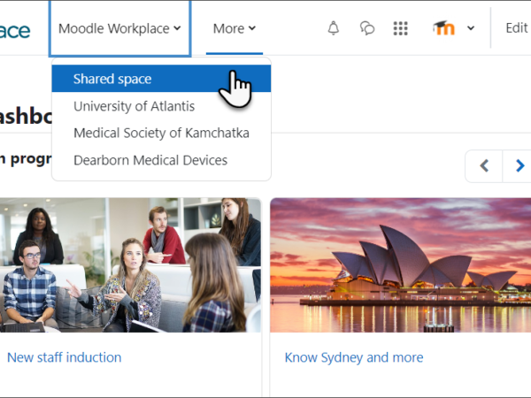 Moodle Workplace shared space Image