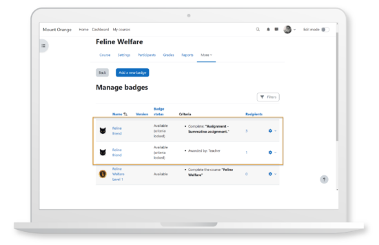 Manage badges with ease, including duplicates with different completion criteria in Moodle LMS. Image source: Moodle Image