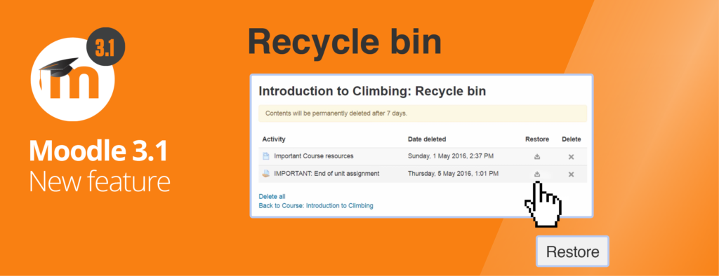 Features RecycleBin 3 2
