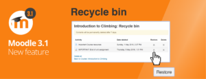 Features RecycleBin 3 2