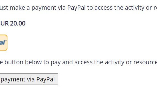 Le lien amène l'utilisateur à Paypal et il peut soumettre son paiement Image