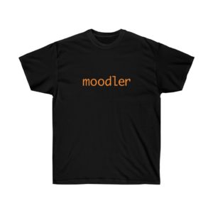 Ein schwarzes T-Shirt mit orangefarbenem Text in Kleinbuchstaben mit der Aufschrift 'moodler'