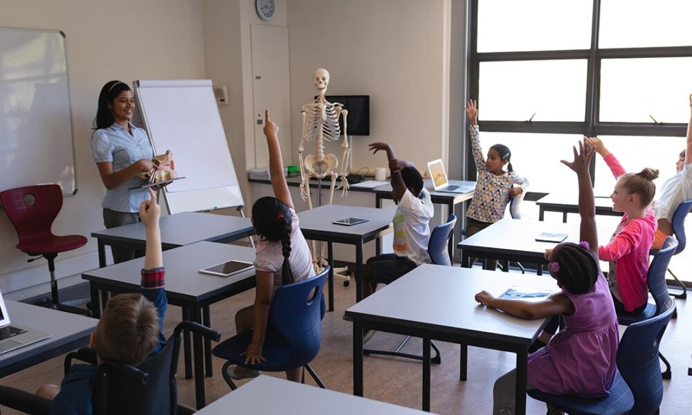 Learning Management System For Schools Moodle Online Teaching K12