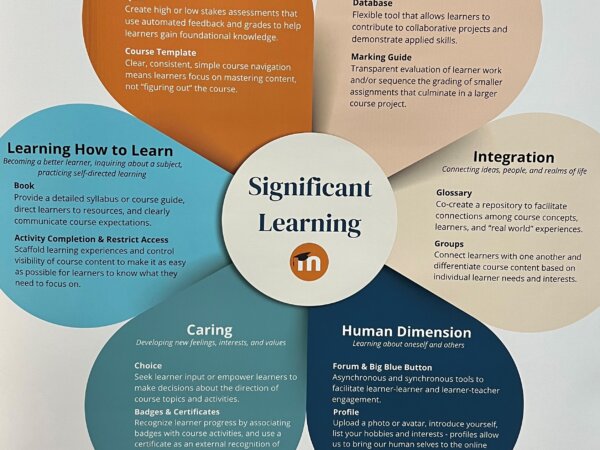 Significant Learning Experiences in Moodle Poster von Lauren Goodman. Bild