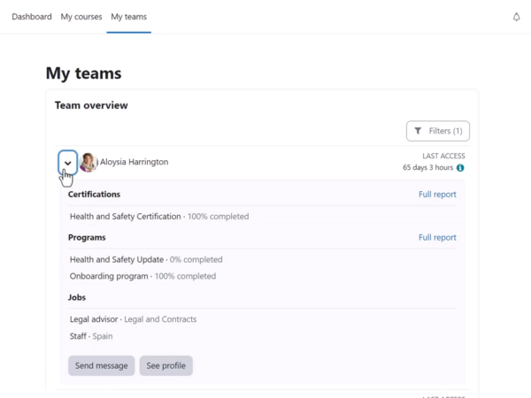 Moodle Workplace 4 team overview Immagine